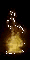 [21 kb Flaming Torch image here]